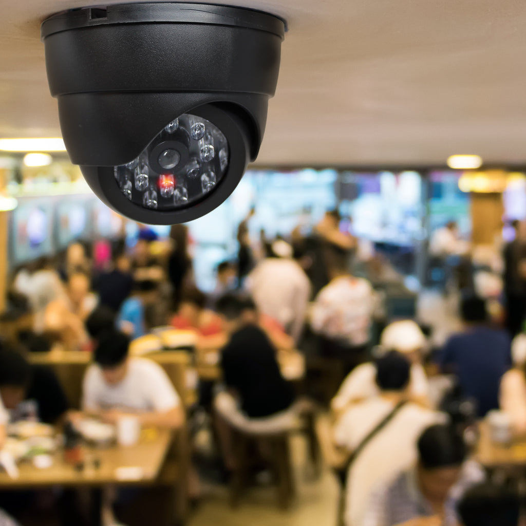 ZeroDark Decoy Wireless Security Cameras 2 Pack