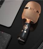 Chorus Wireless Karaoke Microphone & Speaker Singing Machine