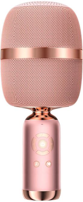 Chorus Wireless Karaoke Microphone & Speaker Singing Machine