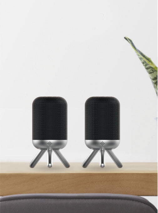 Amplify Duet Portable True Wireless Speaker Set