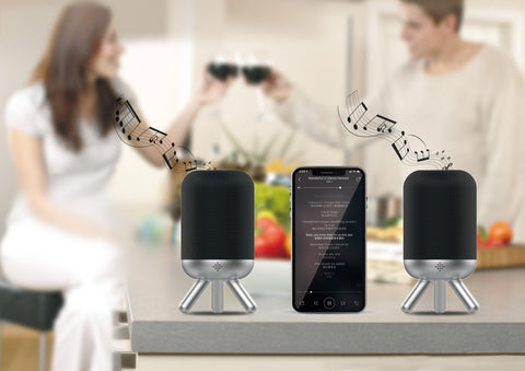 Amplify Duet Portable True Wireless Speaker Set