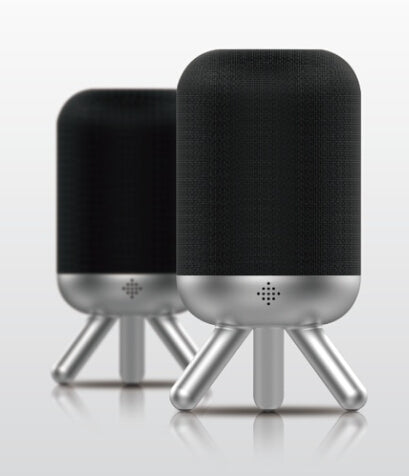 Amplify Duet Portable True Wireless Speaker Set