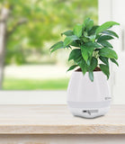 Piano Playing LED Speaker Flower Pot